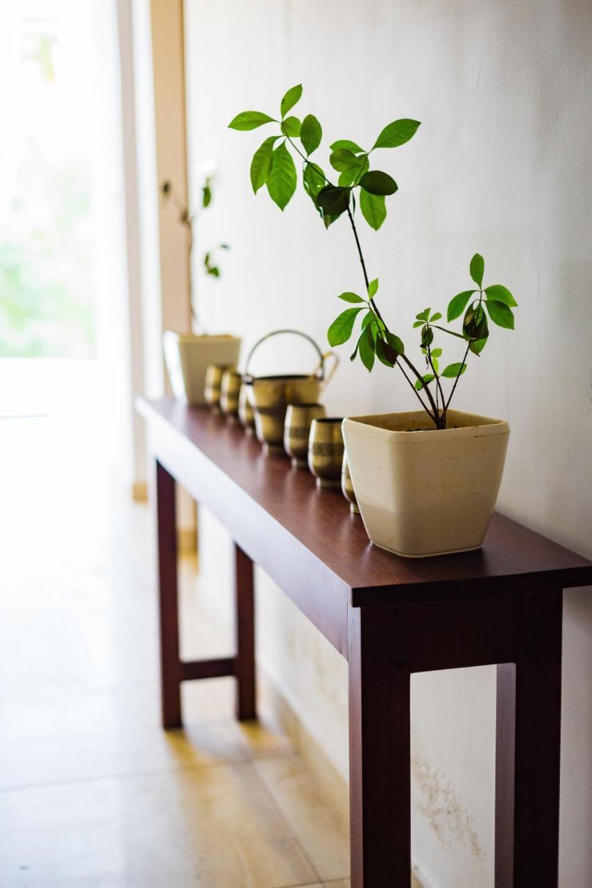 Mekosha Ayurveda Spa Suites Retreat & Resort Attingal Exteriör bild